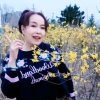 香君的头像