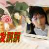 蝴蝶的头像