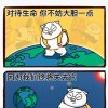 橘子的头像