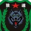 狼魂的头像
