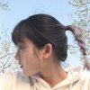 sws的头像