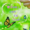 九妹的头像