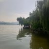 沉默不语的头像