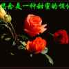 秋天的枫叶的头像