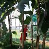 清妹的头像