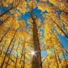 幻彩水晶的头像