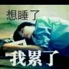 小鱼儿的头像