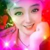 星空麦子白鸽香港Kaka的头像