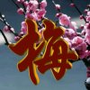 知足常乐的头像