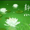 盈（退）勿扰)的头像