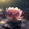雲的头像