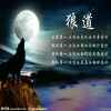 绝地苍狼的头像