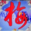踏雪寻梅的头像