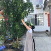 缘来如此的头像