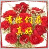 一天又一天的头像