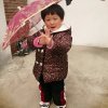 春暖花开的头像