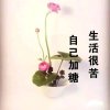 蓉儿的头像