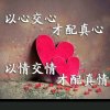 爱笑的眼睛的头像