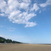 从容的头像