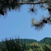 碧海蓝天的头像