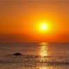海上日出的头像