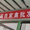 裕容（暂退）的头像