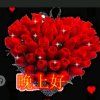 爱你心庞氏传媒【主唱】的头像