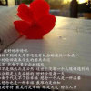 感恩有你（退）的头像