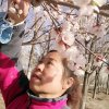 英子的头像