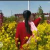 小诗的头像
