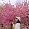 期待的声音的头像
