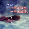 倦了的头像