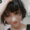 凤儿的头像