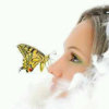 蝴蝶的头像