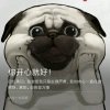 慕橙的头像