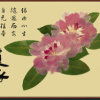 喜乐泉的头像
