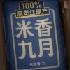 晓晓的头像