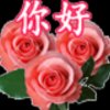  兰 的头像