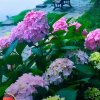 天知音【魏立忠】的头像