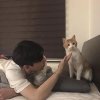 鹿的头像