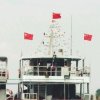 醒悟的头像