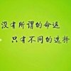 二傻子的头像
