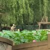 天下知音的头像