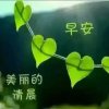 晴儿的头像