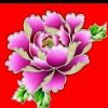 美美（没花了暂离）的头像