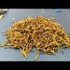 人生如梦的头像