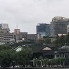 未来的梦的头像