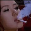 小燕子的头像