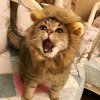 。。。。的头像