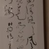 WH@&的头像